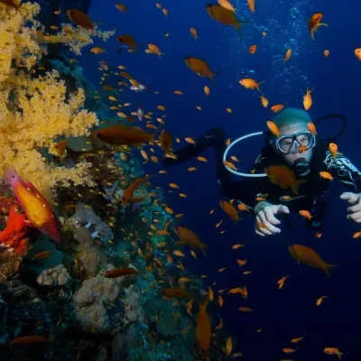 Diving at the Blue Hole