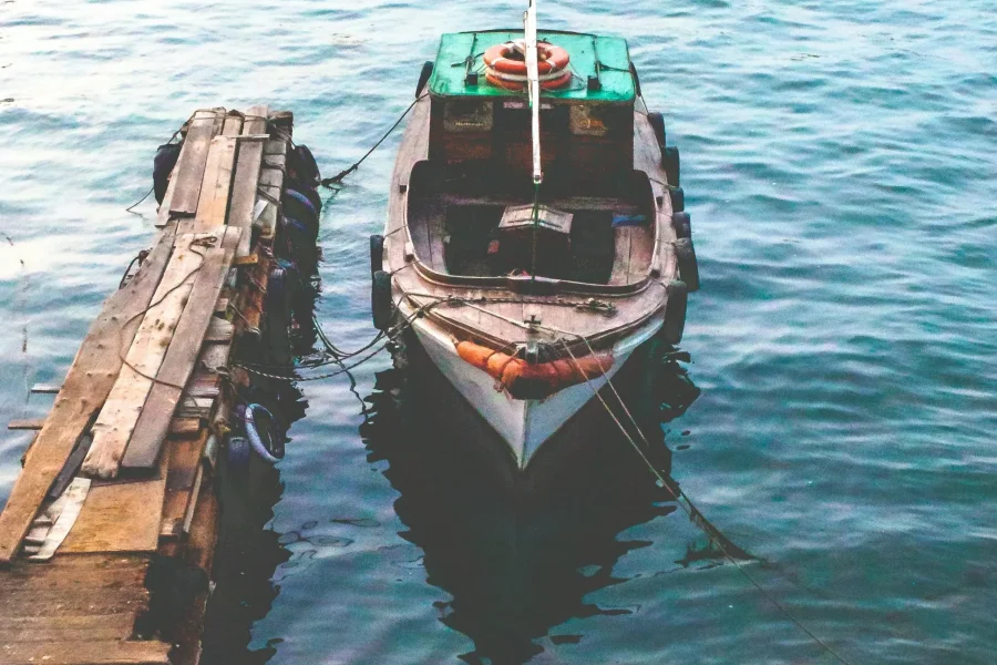 Port Said Day Tour with Seafood Experience (Full Day)